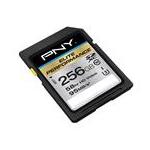 PNY PSDX256U1HGE