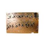 HP RG5-6800-000CN