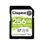 Kingston SDS2/256GB