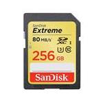 SanDisk SDSDXVF-256G-ZNCIN