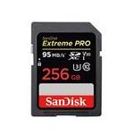 SanDisk SDSDXXG-256G-ANCIN