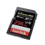 SanDisk SDSDXXG-256G-CNCIN
