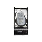 NetApp SP-306A-R5-SUB