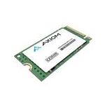 Axiom SSDMIG2042E500-AX