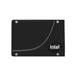 Intel SSDPE21K100GA01