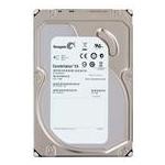 Seagate ST1000NM0001