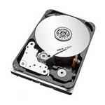 Seagate ST12000NM001G_BIN1