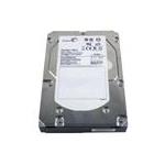 Seagate ST13146356FC