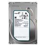 Seagate ST31000524NS
