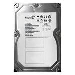 Seagate ST31000640FC