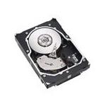 Seagate ST314707FC