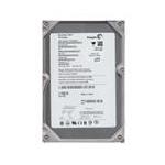 Seagate ST3160023AS-IM