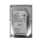 Seagate ST3160815AS-20TPK