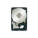 Seagate ST320000644NS