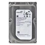 Seagate ST32000646NS