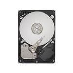Seagate ST33000654NS