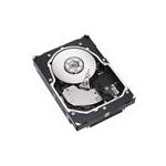 Seagate ST3300602FCV