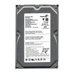 Seagate ST3300831AS