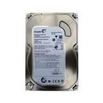 Seagate ST3500418AS
