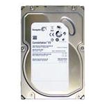 Seagate ST3500514NS