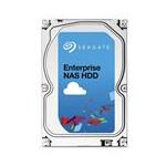 Seagate ST6000VN001-20PK