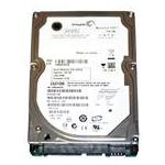 Seagate ST910021AS