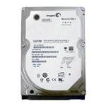 Seagate ST9100827AS
