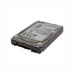 Sun ST930005SSUN300G