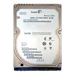 Seagate ST980412AS