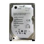 Seagate ST980815A