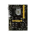 Biostar TB250-BTC PRO