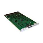 Avaya TN2464BP
