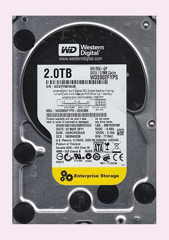 WD2002FYPS-02W3B0 Western Digital Enterprise RE4-GP 2TB 5400RPM SATA 3Gbps 64MB Cache 3.5-inch Internal Hard Drive