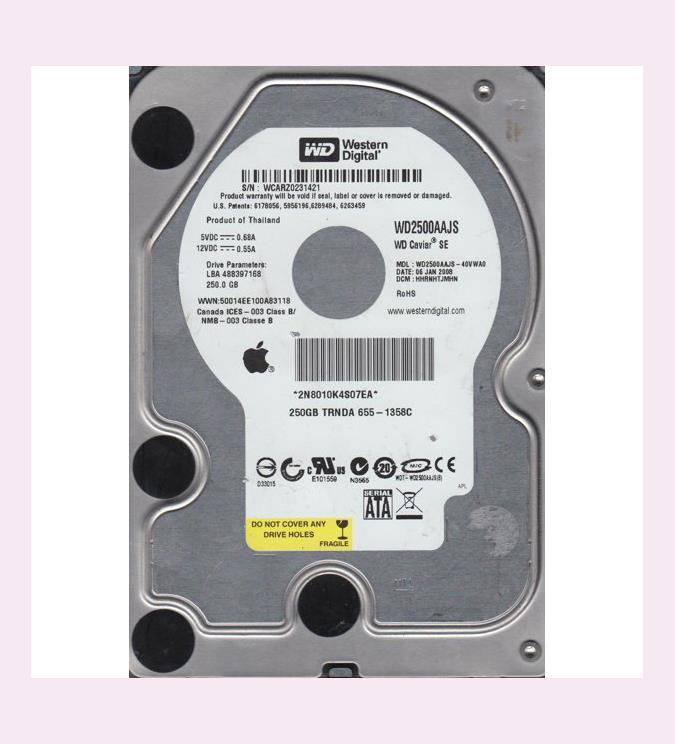 WD2500AAJS-40VWA0 Western Digital Caviar 250GB 7200RPM SATA 3Gbps 8MB Cache 3.5-inch Internal Hard Drive