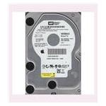 Western Digital WD2500AAJS-40VWA0