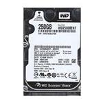 Western Digital WD2500BEKT-OOV5TO
