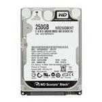 Western Digital WD2500BUKX