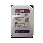 Western Digital WD80PUZX-64NEAY0