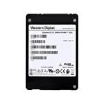 Western Digital WUS4BB019D7P3E3
