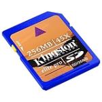 Kingston SD/256-S