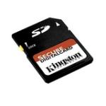 Kingston SDSDB-256-A10-KT